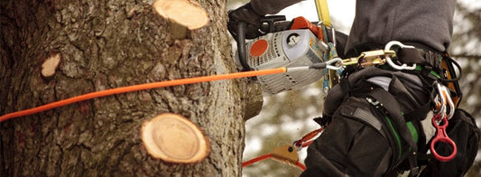 The Arborist’s Tool Kit Part I: Safety Gear