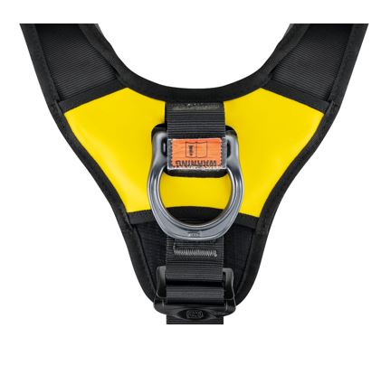 Petzl Astro Bod Fast - C083BA-DISCONTINUED Harnesses Petzl 